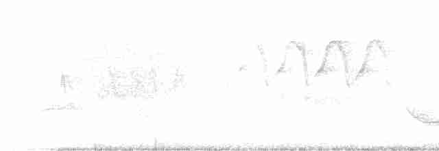 Cerulean Warbler - ML340962401
