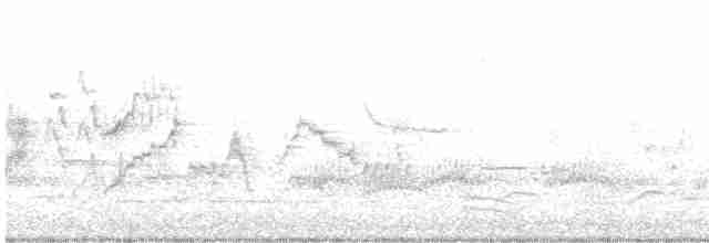 Дрізд-короткодзьоб малий - ML341072101