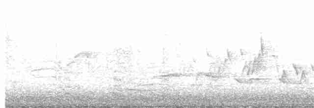 svartbrystparula - ML341115611