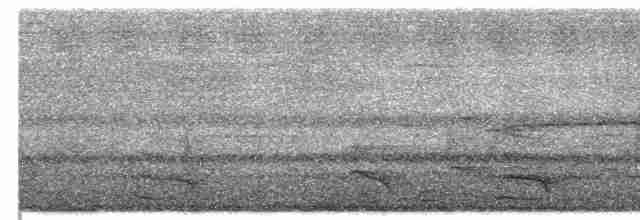 Белокрылая кустарница - ML341128681