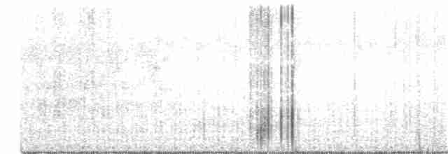 Pharaonennachtschwalbe - ML341172101