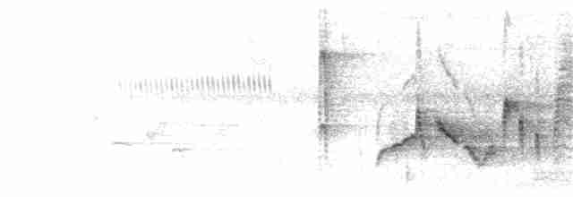 Vireo Ojiblanco - ML341263411