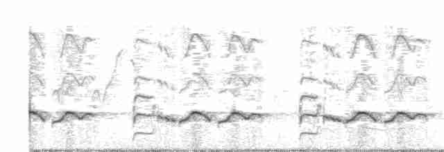Boz Düdükçün (semipalmata) - ML341268421