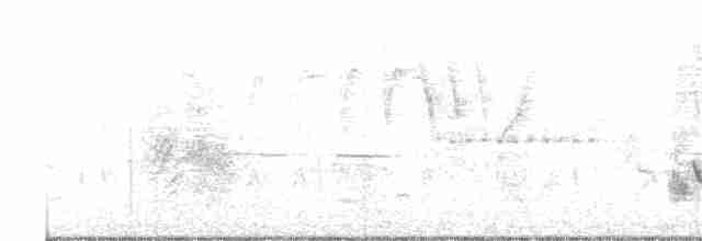 Пересмішник сірий - ML341268731