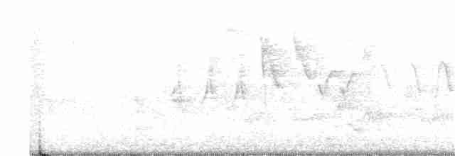 疣鼻天鵝 - ML341268991