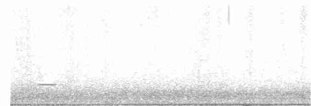 Common Yellowthroat - ML341284961