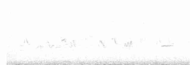 Малая вильсония - ML341285761