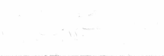 Горихвостковая древесница - ML341293601