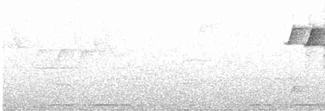 Yellow Warbler - ML341373801
