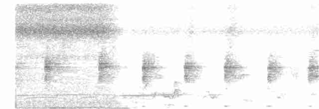 灰胸秧雞 - ML341408931