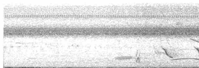 Bluish-gray Saltator - ML341473071