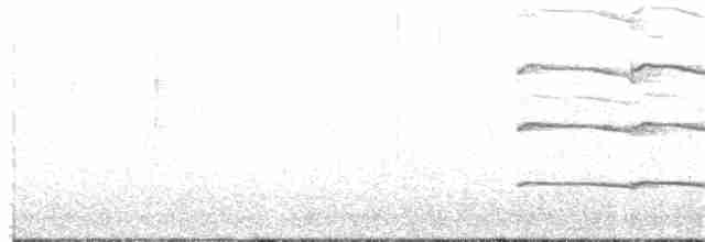 Ушастая сова - ML341492401