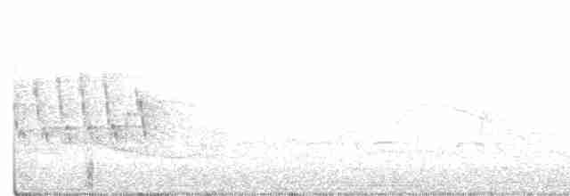 Blackpoll Warbler - ML341506241