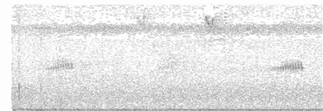 Gray-headed Tanager - ML341562351