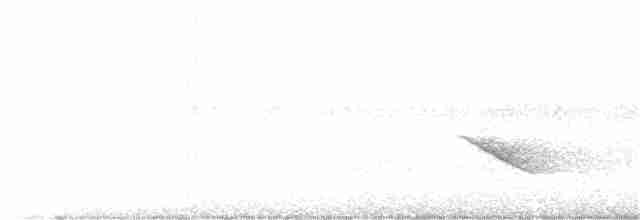Бурый соловьиный дрозд - ML341598411