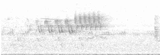 Cerulean Warbler - ML341604921