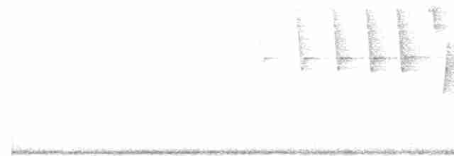 Tennessee Warbler - ML341606001