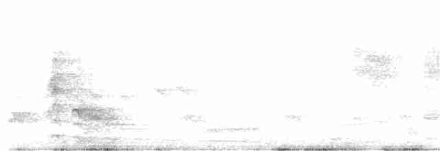 kukačka veverčí - ML341626131