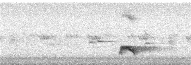 Brown-crested Flycatcher - ML341672311