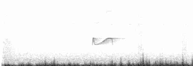 Yellow-bellied Flycatcher - ML341685581