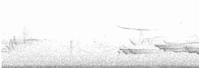 Pine Warbler - ML341693491