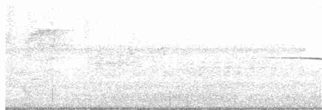 Белогорлая зонотрихия - ML341696501