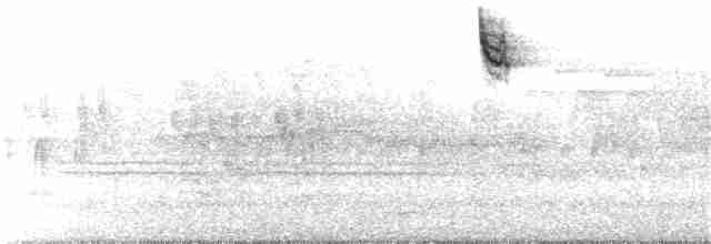 Белогорлая зонотрихия - ML341774801