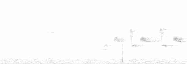 lejsek černohlavý - ML341814821