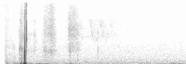 Cerulean Warbler - ML341835041