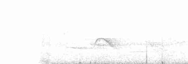 Gri Yanaklı Bülbül Ardıcı - ML341851231
