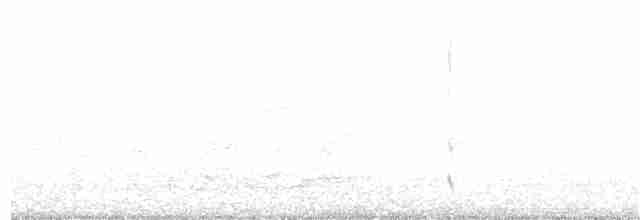 kalypta rubínohrdlá - ML341873821