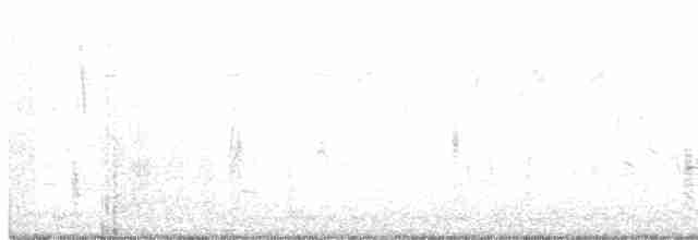 Common Yellowthroat - ML341895701