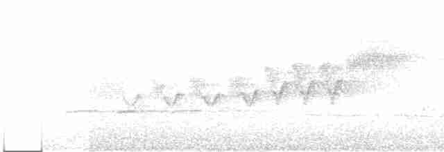 Cerulean Warbler - ML341901441