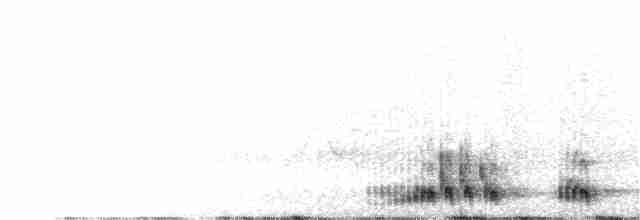 קוקיה שחורת-מקור - ML341915241