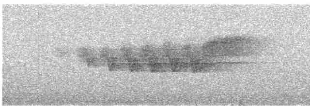 Cerulean Warbler - ML341919111