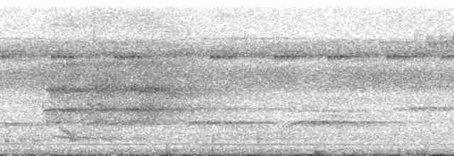 blåkronemanakin (coronata gr.) - ML34192