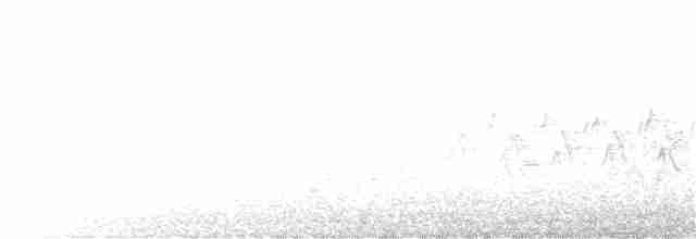 Карнатка бліда - ML341981721