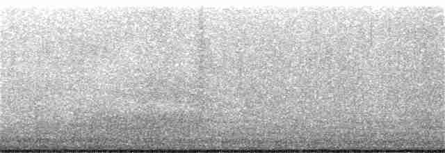 Küt Kuyruklu Korsanmartı - ML341984191