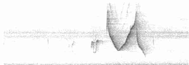 Зернолуск золотодзьобий - ML341997311