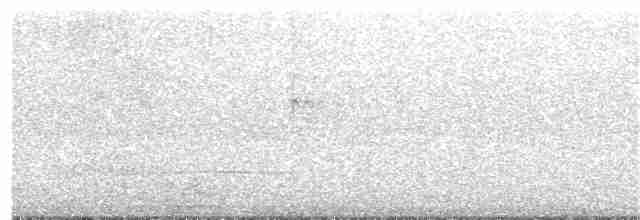Темноголовый миарх - ML342005221