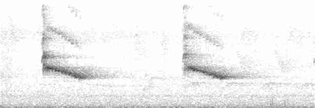 Каролинский крапивник - ML342047491