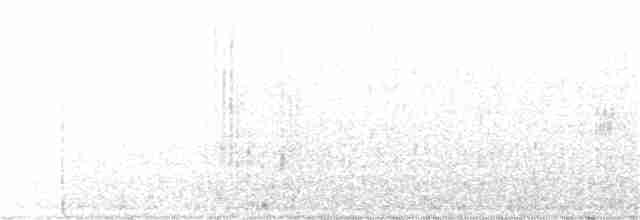 svartbrystparula - ML342087011