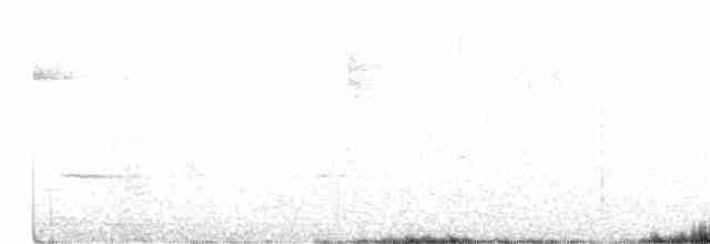 Hermit Thrush - ML342103651