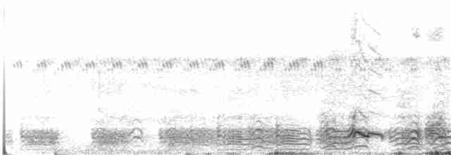 Сероголовая яху - ML342107641