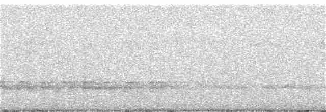 Australasian Grebe - ML342110231
