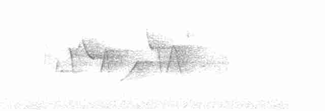 Canada Warbler - ML342165001