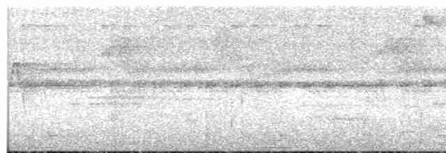 Cinereous Tinamou - ML342210601