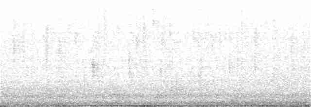 Bar-tailed Godwit - ML342235271