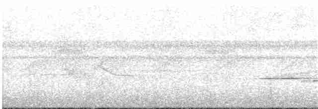 Şerit Kanatlı Çıtkuşu - ML342317701
