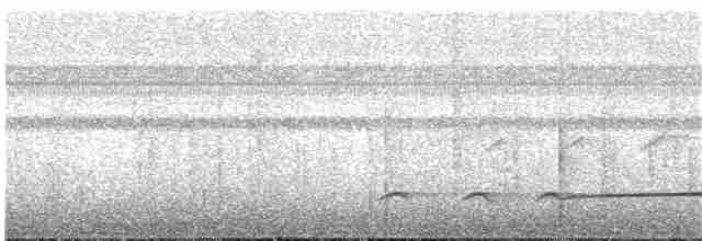 Batılı Çizgili Pufkuşu - ML342330361